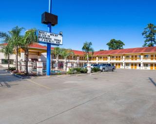 Rodeway Inn & Suites - Humble - 7