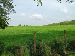 Idyllic with Stream - Hot Tub - Pet ok- Walk 2 Pub - 1