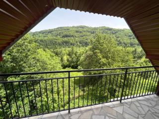 Wolf Apartments - Mojkovac - 9
