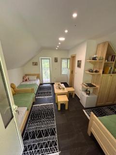 Wolf Apartments - Mojkovac - 5