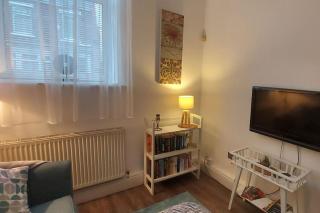 Old library apartment - 8