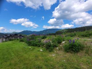 Chalet SCALA 3 JASNÁ - 5