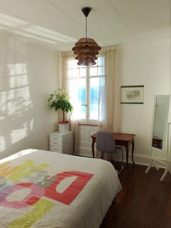 BEST Panoramic View, Swiss Authenticity 1-9 Guests - Montreux - 8