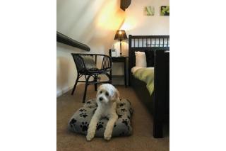 Cobble Cottage - Whitby - 8