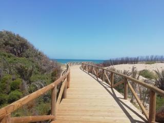 Location espagne - Guardamar del Segura - 9