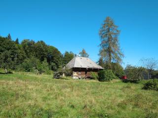 Holiday Home Bistenhof by Interhome - Hinterzarten - 3
