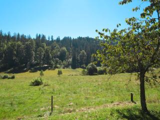 Holiday Home Bistenhof by Interhome - Hinterzarten - 1