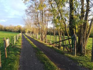 Gîte site médiéval 6 personnes (Gîte De France 2*) - 8