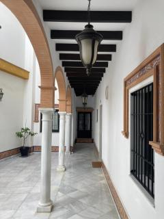 Rialto céntrico patio sevillano - Seville - 8