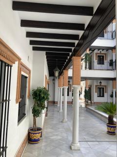 Rialto céntrico patio sevillano - Seville - 9