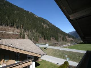 Apartment Martina by Interhome - Mayrhofen - 8
