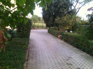 Artisti Del Cavallo Tourism - 2