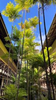 Eco Paradise Cumbuco pé na areia 116 - 5