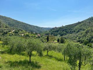 La Casa negli Ulivi, con piscina - Torre Paponi - 1