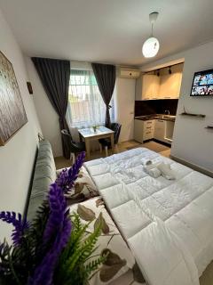 Krid Tirana Studio Flat - Tirana - 8