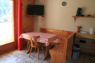 Amarillys AM2 MOUNTAIN & TELECABINE 4 Pers - Châtel - 7