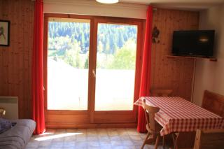 Amarillys AM2 MOUNTAIN & TELECABINE 4 Pers - Châtel - 8