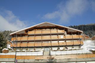 Chalet Madeline MD25 SUN & VIEW 6 pers - Châtel - 3