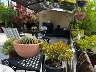 Le refuge des oiseaux - 1