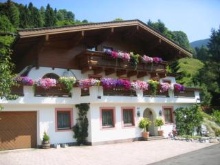 Gästehaus Holzer - Viehhofen - 0