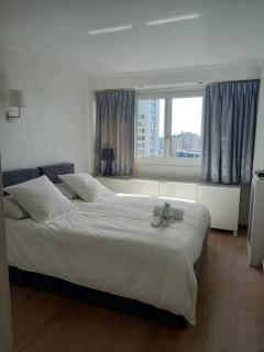 Superbe appartement à Paris - 9