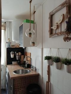 Coeur de Paris, près Tour Eiffel - 8