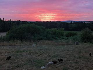Joli studio à la campagne - 1
