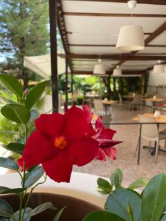 Hotel Residence Da Carmelo - Palinuro - 7