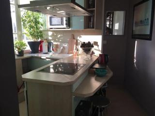 Appartement charmant avec vue sur Tour Eiffel - Paris - 60 m² - 4