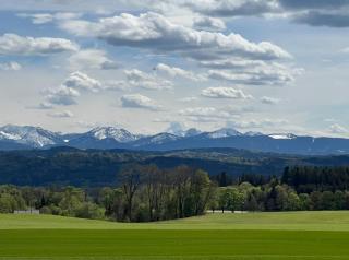 Palmen Apartment direkt in Bad Aibling - 7