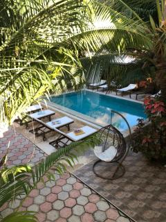 CeZeRe THE PALM HOTEL - Paje - 6