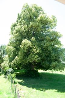Le Perchoir - Rouffignac - 6