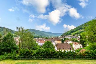 Chalet du Piedmont - Cornimont - 2