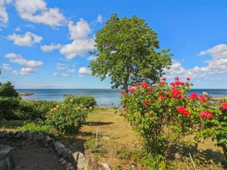 Holiday Home Tuovi - all inclusive - 47m from the sea by Interhome - Svaneke - 4
