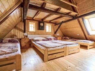 Holiday Home Jizerka by Interhome - 7