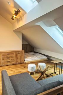 Apartment Ski&Bike Siréna 4-2 by Interhome - Janské Lázně - 6
