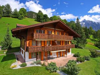 Apartment Chalet Hori-2 by Interhome - Grindelwald - 0