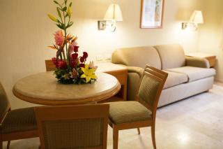 Hotel Olmeca Plaza - 9
