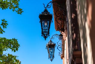 Villa Magnolia Wissembourg - Wissembourg - 7