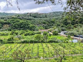Apartment NISSO by Interhome - Costa Carnara - 5