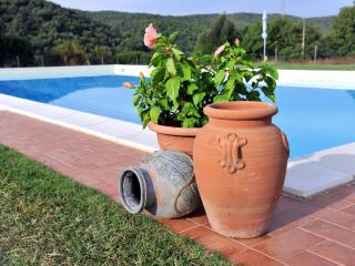 Apartment Agriletizia-2 by Interhome - 8