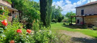 CHIANTI - Lovely Cottage with Parking & Garden! - Castelnuovo Berardenga - 0