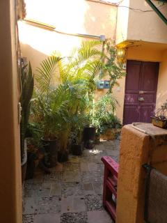 La Pajarera prime location in San Miguel - 1