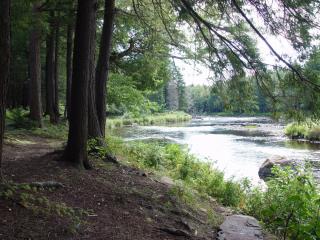 Riverside Cabin - Potsdam - 6