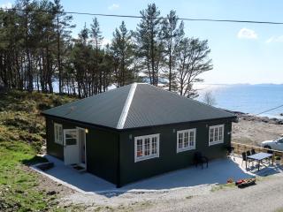 Holiday Home Nesjevik by Interhome - Bø - 0