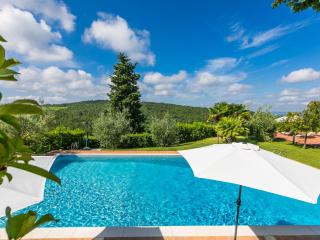 Apartment Leonardo by Interhome - San Donato in Poggio - 9