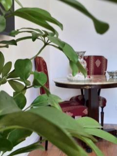 Aurora Center City - Rooms - Palermo - 7