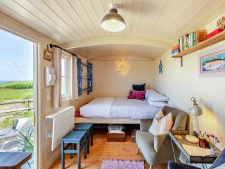 Little Puffins - Uk46841 - Hartland - 4