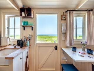 Little Puffins - Uk46841 - Hartland - 6