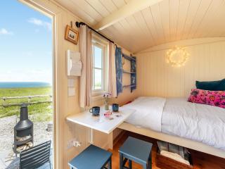 Little Puffins - Uk46841 - Hartland - 3